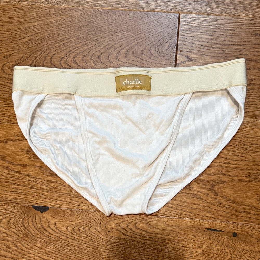 Charlie Men's White Briefs